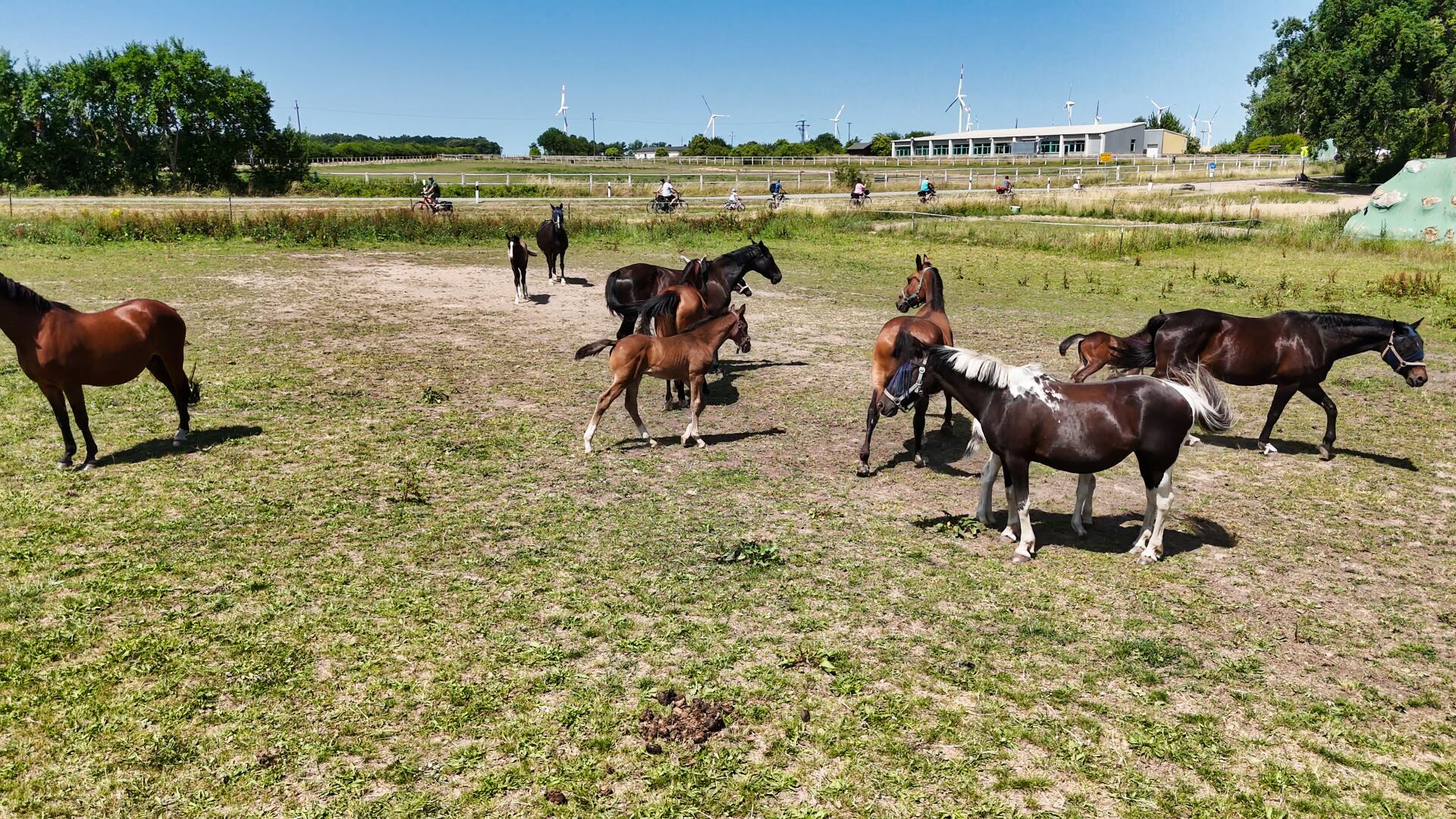 gutleben_billberge_dr_pc1 (77)